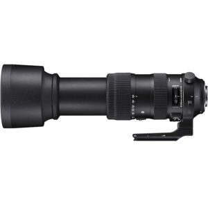 Sigma 60-600mm f/4.5-6.3 DG OS HSM Sports Lens