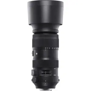 Sigma 60-600mm f4.5-6.3 DG OS HSM (S)