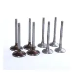Ingco S-DE-INEXV-S195 Valve Set 