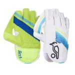 Cricket Wicket Keeping Gloves Junior