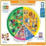 Chart Constituents Of Food