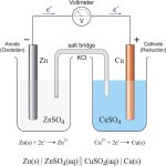 Chart Electrochemical Cell - Different Kinds Of Primary Cell 75x10