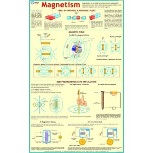 Magnetism Chart Wall Chart