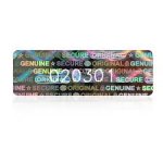 SECURITY HOLOGRAM SILVER STICKER