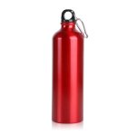 Stainless Sports Bottle 300ml,Mount Cook