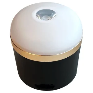 EcoFlow Camping Light
