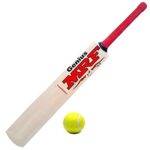 Cricket Bat Lethal Size 6-31" Poplar Wood for Soft Ball-Best Price In Kenya